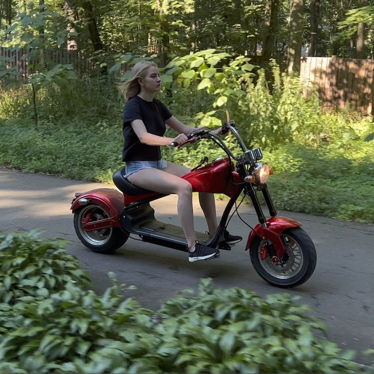 Electric Chopper